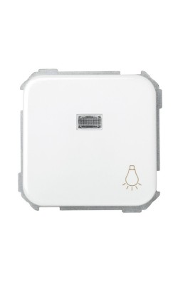 Pulsador grabado luz con luminoso SIMON 31 10A 250V 64x65mm 31661-30 Blanco