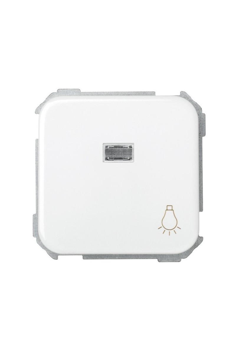 Pulsador grabado luz con luminoso SIMON 31 10A 250V 64x65mm 31661-30 Blanco