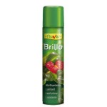 Flower Brillo Planta Natural HIPOALERGENICO Abrillantador plantas 800 cc