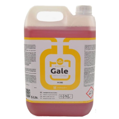 H-245 GALE (5L) LIMPIA PLANCHAS PLUS ROJO