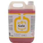 H-245 GALE (5L) LIMPIA PLANCHAS PLUS ROJO