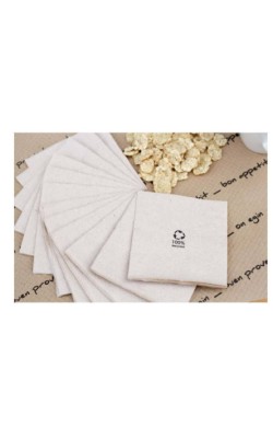 SERV. 20X20 BIO-ECO MICROPUNT ECO NATUR 2400U