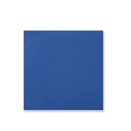 SERV. 40X40 2 CAPAS. PUNTA AZUL 1500UDS