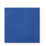 SERV. 40X40 2 CAPAS. PUNTA AZUL 1500UDS