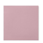 SERV. 40X40 2 CAPAS. PUNTA SALMON 1500UDS