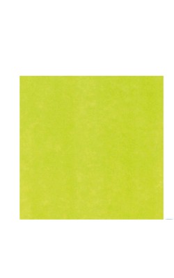 SERV. 40X40 AIR LAID PISTACHO (600UDS)KARME