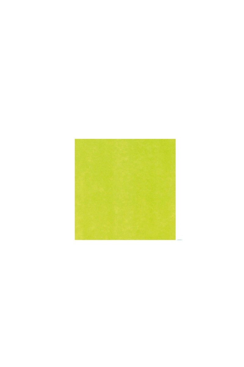 SERV. 40X40 AIR LAID PISTACHO (600UDS)KARME