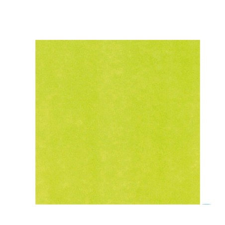 SERV. 40X40 AIR LAID PISTACHO (600UDS)KARME