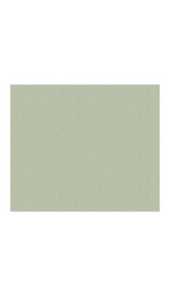 MANTEL 30X40 40GR LISO VERDE (1000UDS)