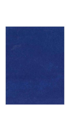 MANTEL 40X100 AIR LAID AZUL (400UDS)