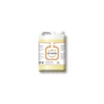 E-255V DF VAINILLA (5L) GEL DE MANOS