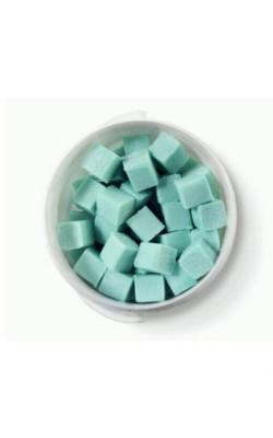 BOTE 100UD PASTILLA URINARIO 20G PERFUME PINO
