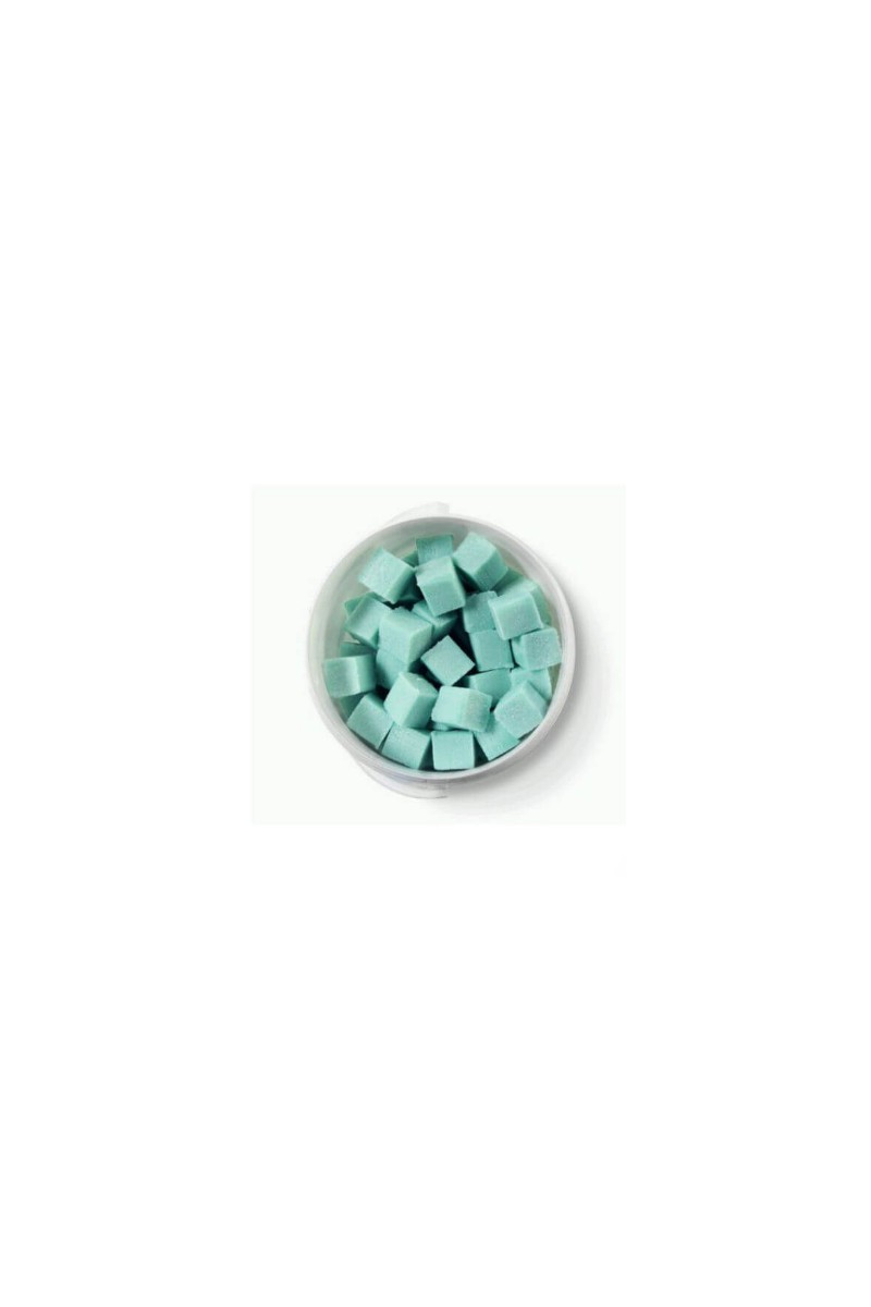 BOTE 100UD PASTILLA URINARIO 20G PERFUME PINO