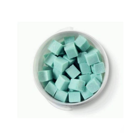 BOTE 100UD PASTILLA URINARIO 20G PERFUME PINO