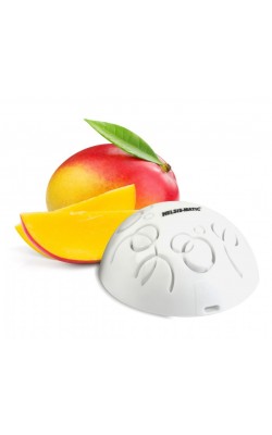 RECAMBIO INTENSITY MANGO NARANJA